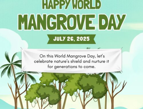 Selamat Hari Mangrove Sedunia