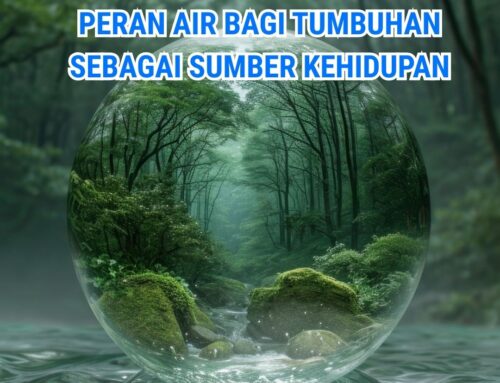 Peran Air Bagi Tumbuhan Sebagai Sumber Kehidupan